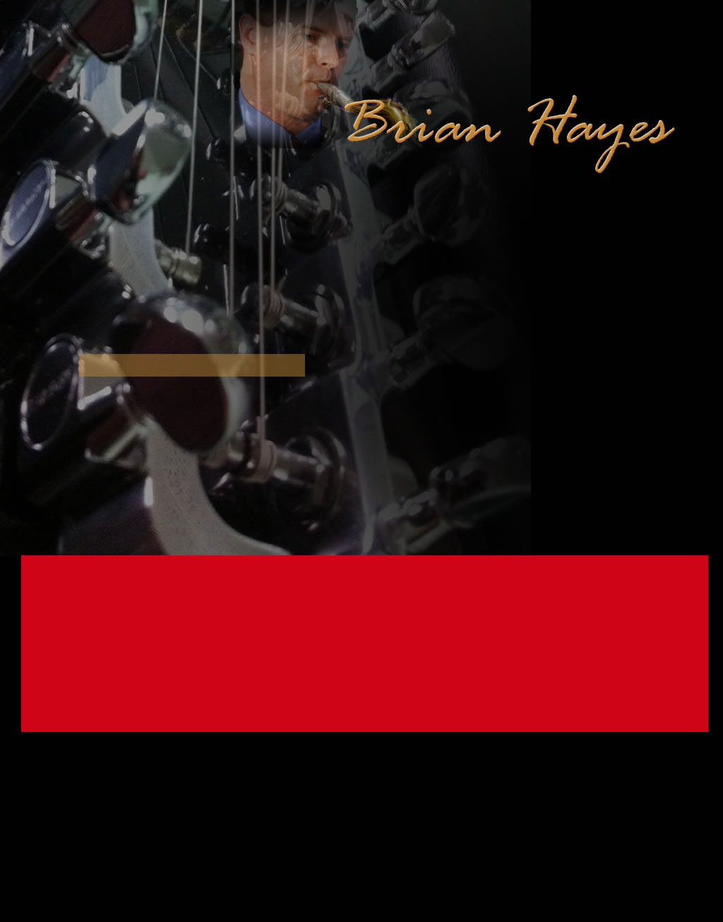 Brian Hayes Instrumentalist Music Teacher Sunshine Coast